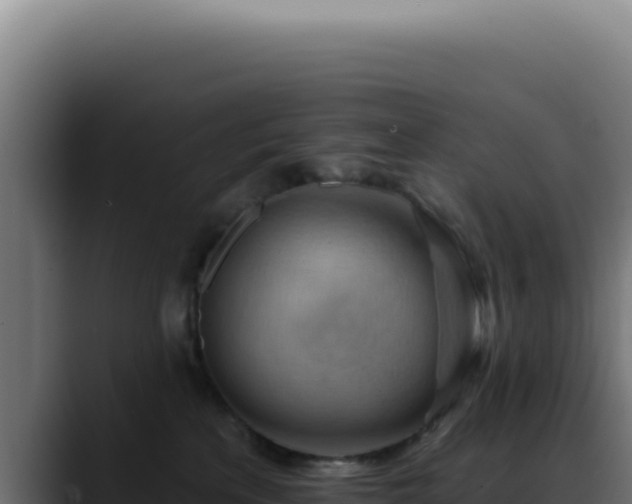 X0000088410233200705291455