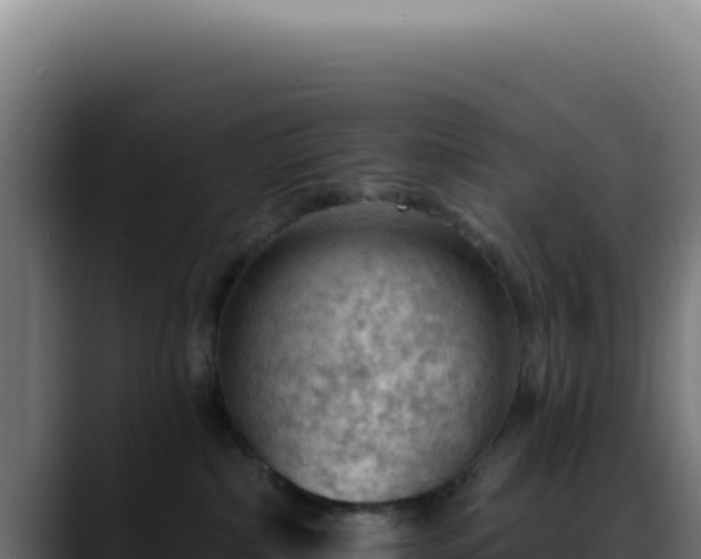 X0000088410236200705291455