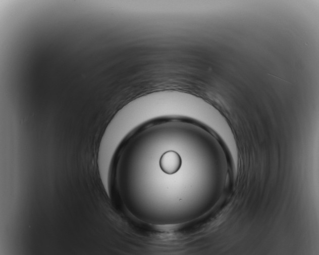 X0000088410237200705291455