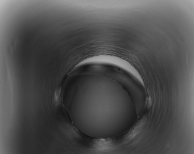 X0000088410239200705291455