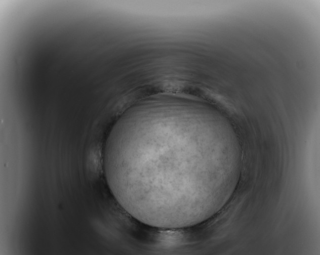 X0000088410240200705291455