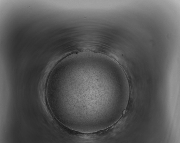 X0000088410241200705291455