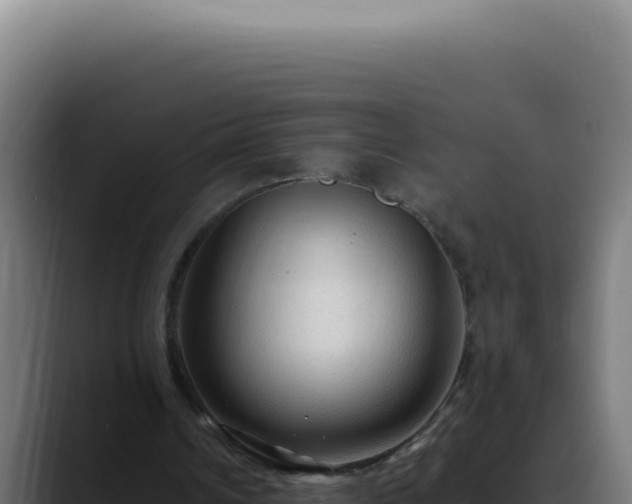 X0000088410242200705291455