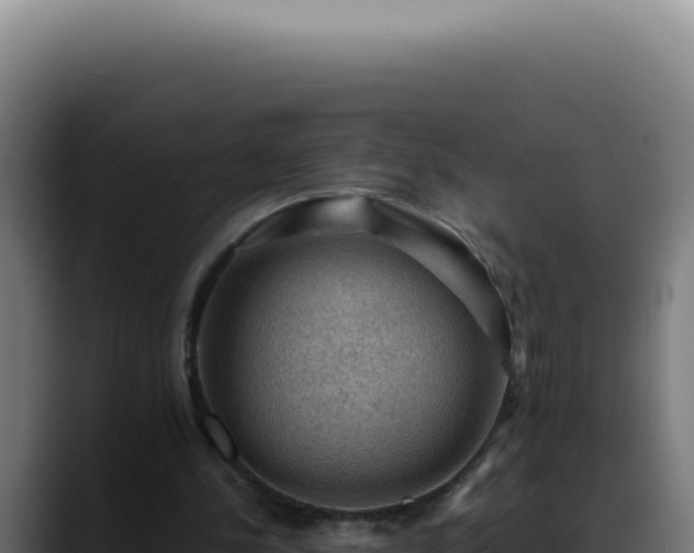 X0000088410244200705291455