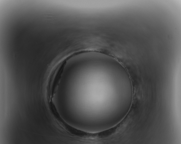 X0000088410247200705291455