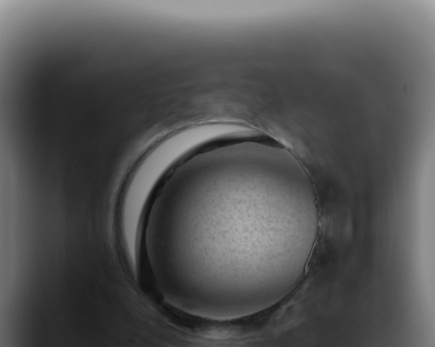 X0000088410248200705291455