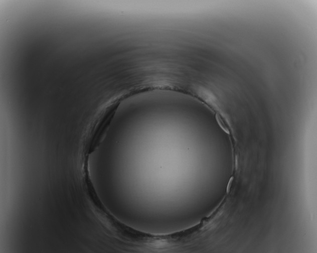 X0000088410249200705291455