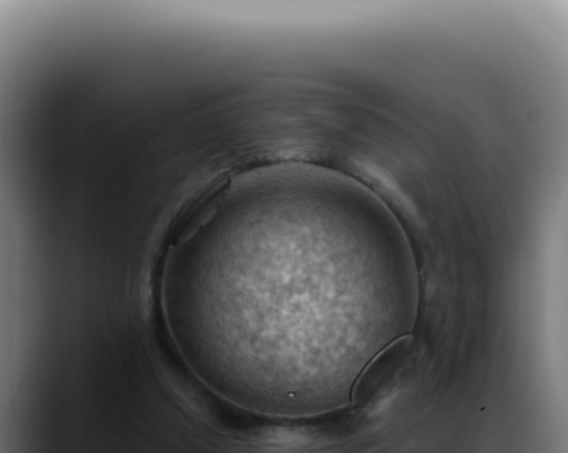 X0000088410250200705291455