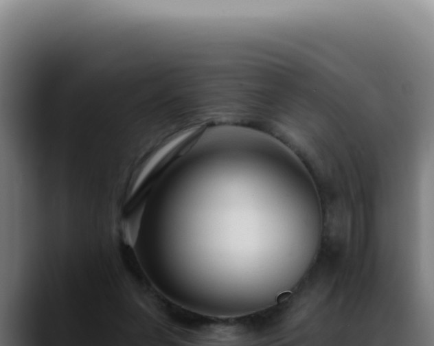 X0000088410255200705291455