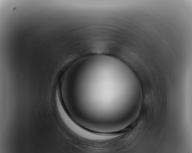 X0000088410256200705291455