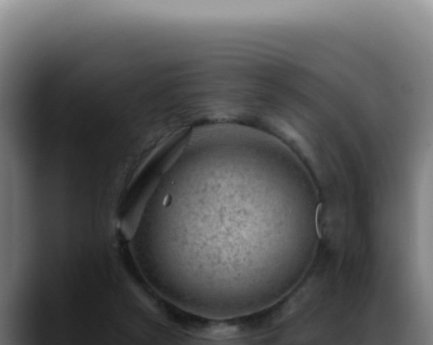 X0000088410257200705291455