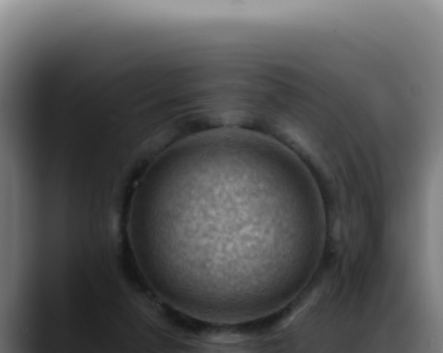 X0000088410258200705291455