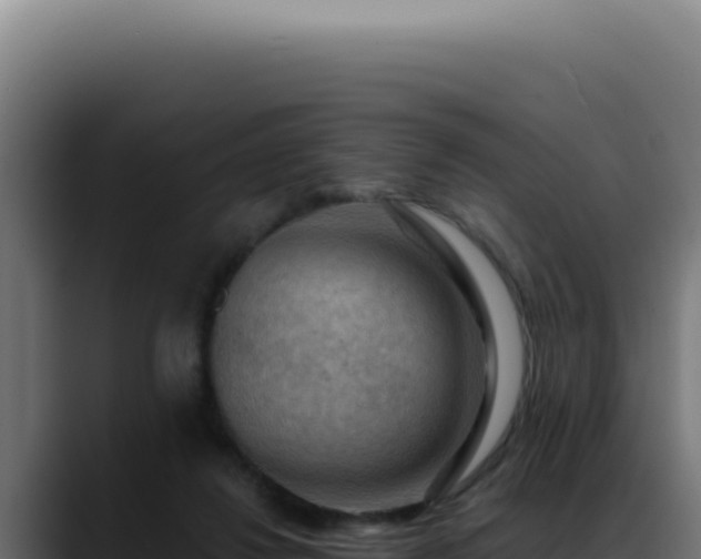 X0000088410260200705291455