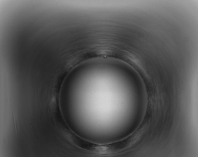 X0000088410265200705291455
