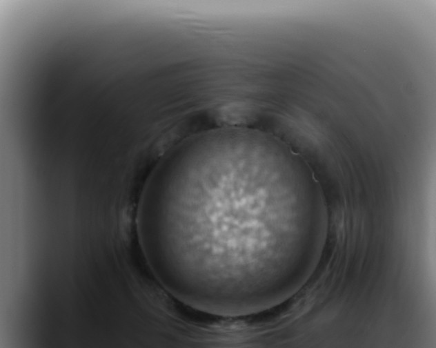 X0000088410271200705291455