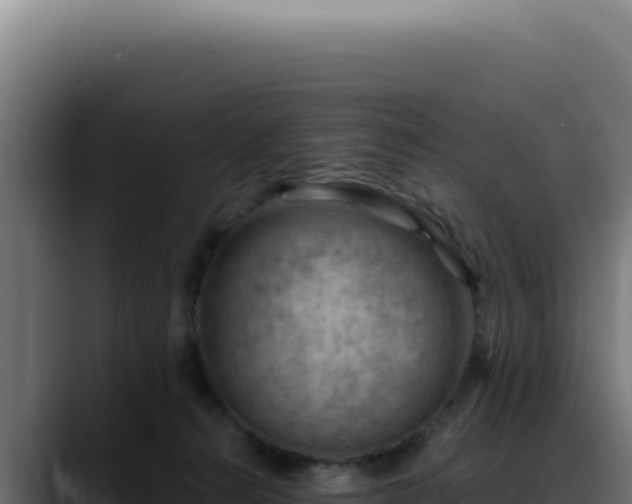 X0000088410272200705291455