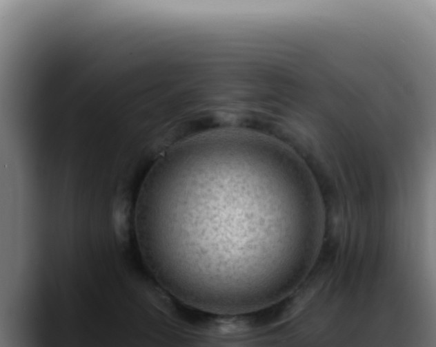 X0000088410275200705291455