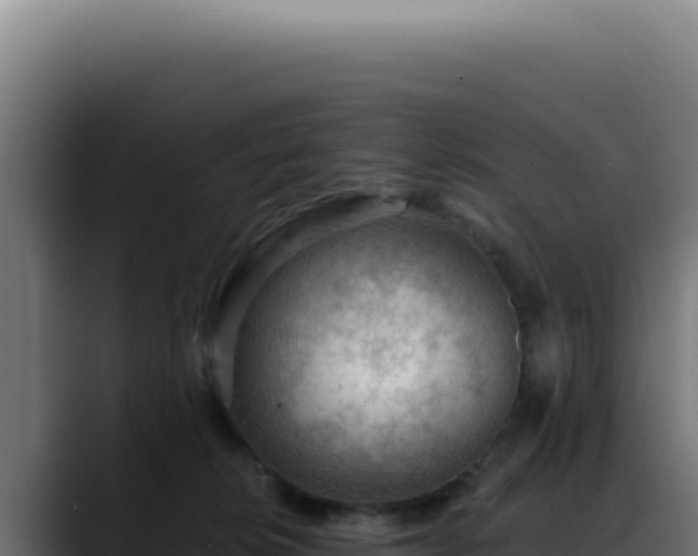 X0000088410276200705291455