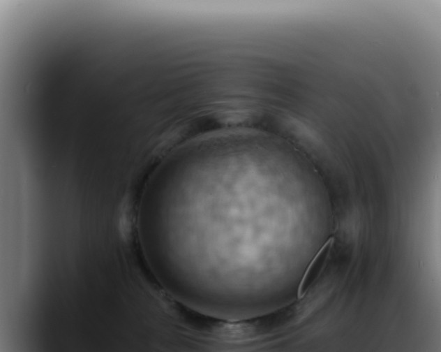 X0000088410277200705291455