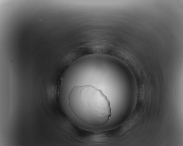 X0000088410278200705291455