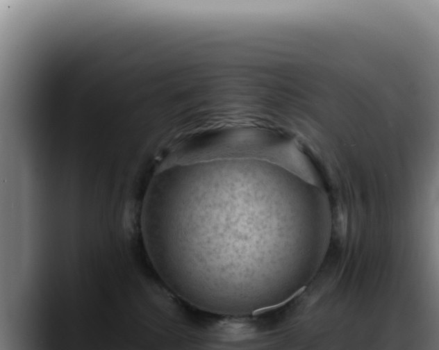 X0000088410280200705291455