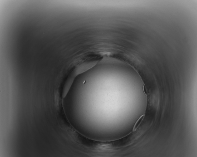 X0000088410283200705291455