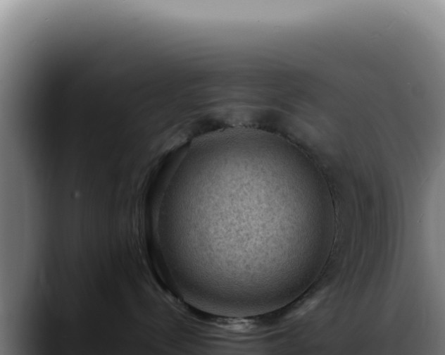 X0000088410288200705291455
