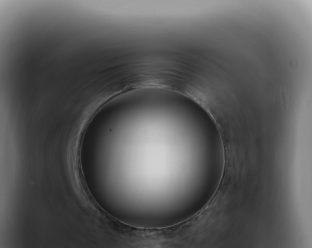 X0000088410289200705291455