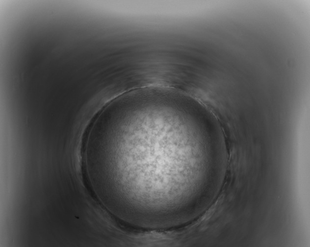 X0000088410290200705291455