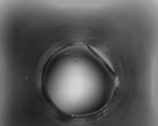 X0000088410291200705291455