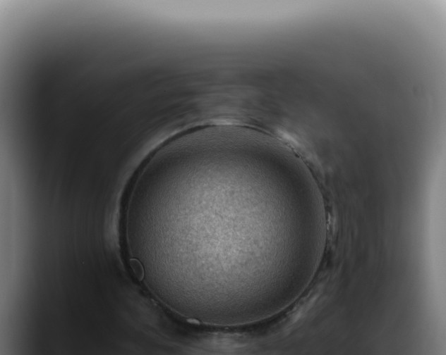 X0000088410292200705291455
