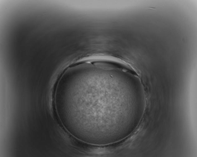 X0000088410293200705291455