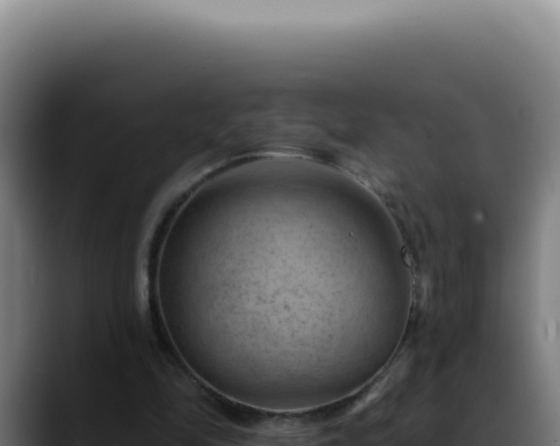 X0000088410294200705291455
