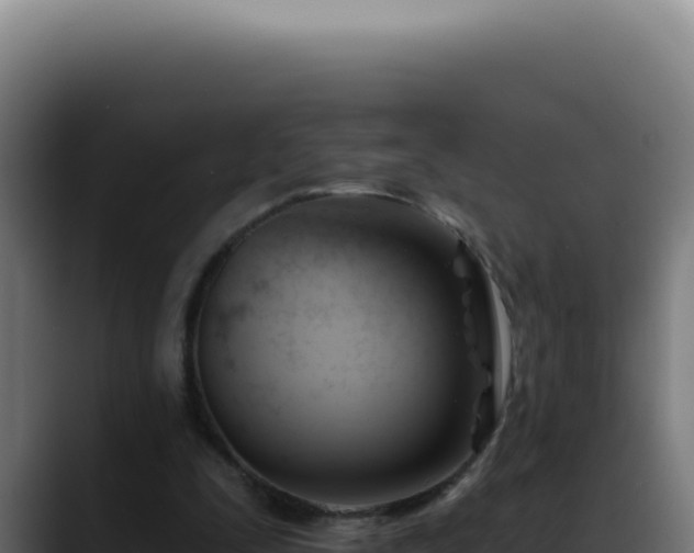 X0000088410295200705291455