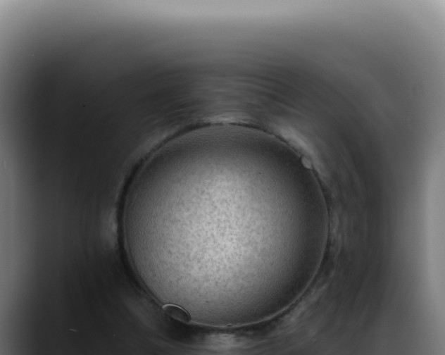 X0000088410298200705291454