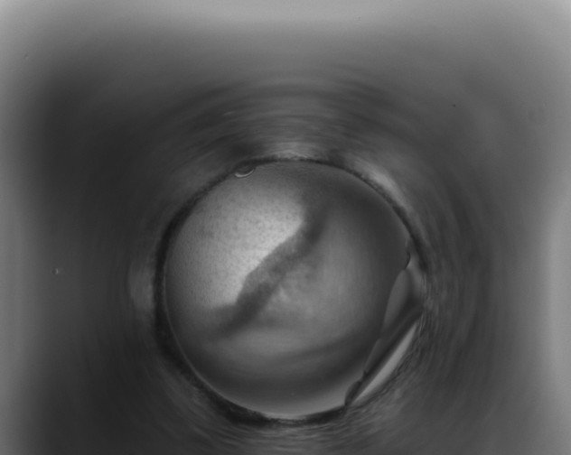 X0000088410299200705291454