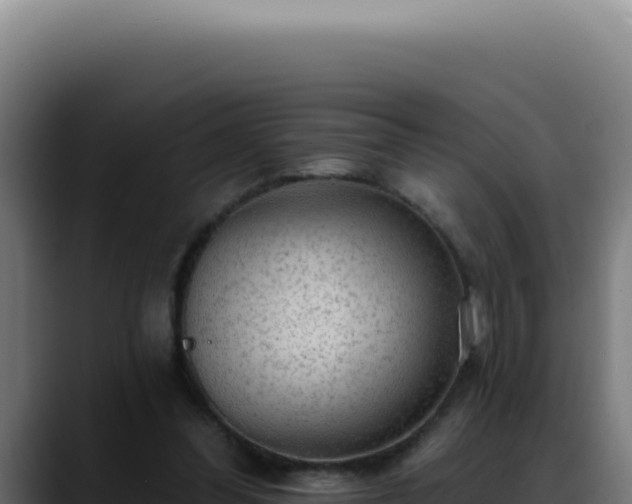 X0000088410300200705291454