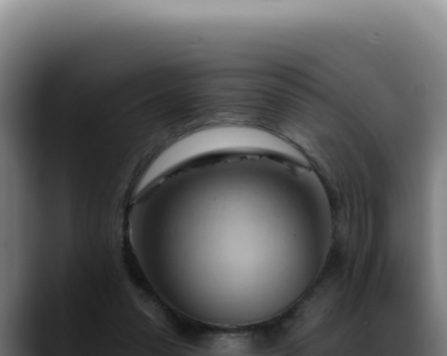 X0000088410303200705291454