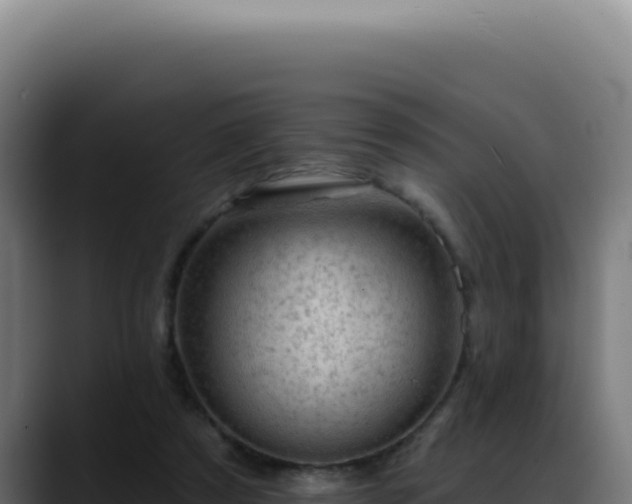X0000088410305200705291454
