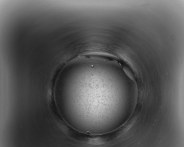 X0000088410309200705291454