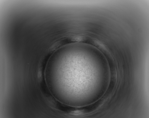 X0000088410312200705291454