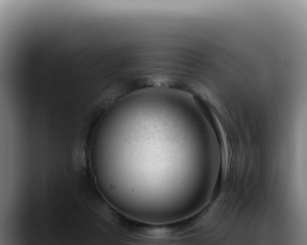 X0000088410313200705291454