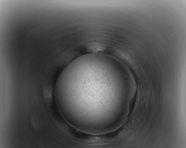 X0000088410315200705291454