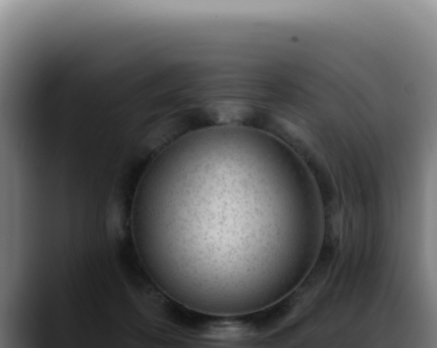 X0000088410316200705291454
