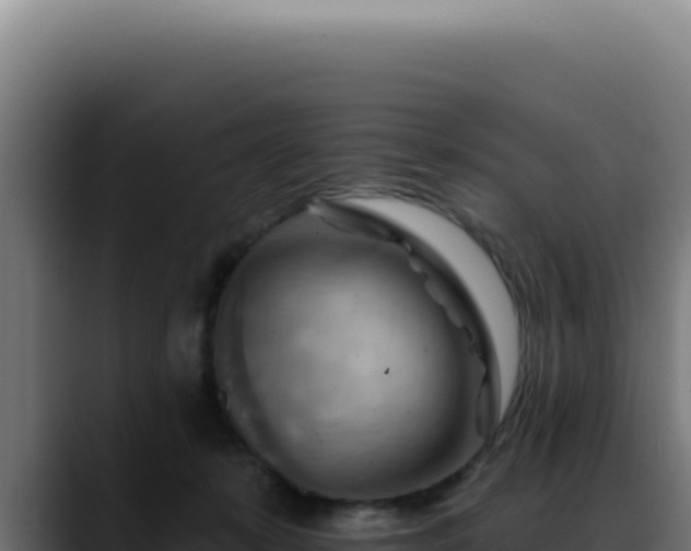 X0000088410319200705291454