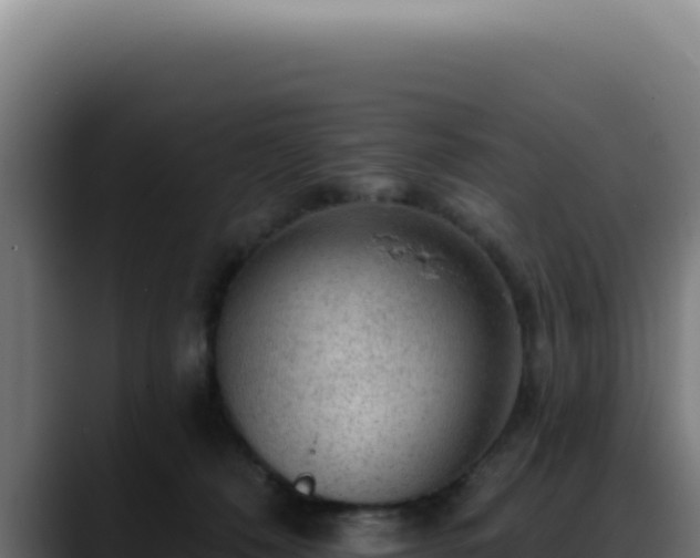 X0000088410320200705291454