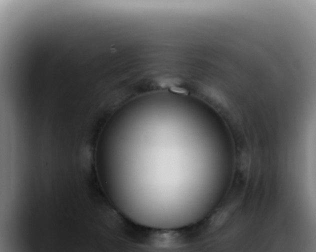 X0000088410321200705291454