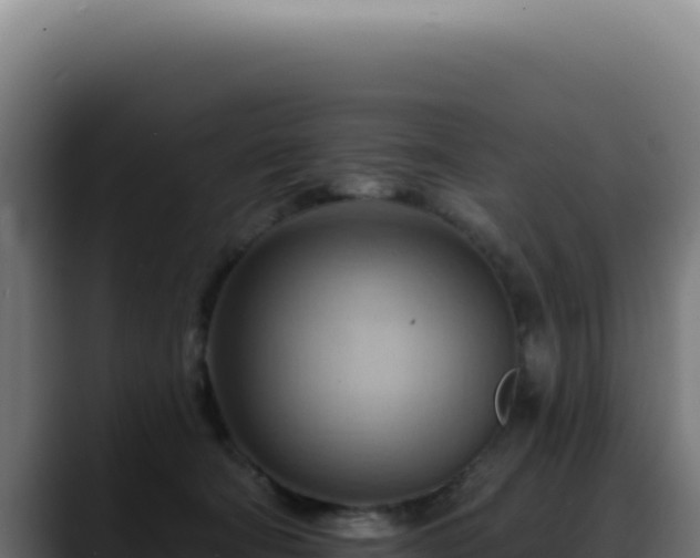X0000088410322200705291454