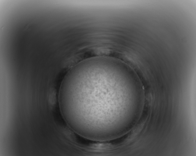 X0000088410323200705291454