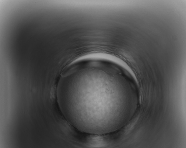 X0000088410325200705291454